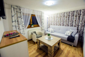 APARTAMENT TAJEMNICZY OGRÓD ŚCISŁE CENTRUM ZAKOPANE